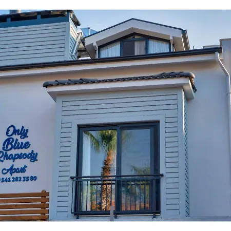 Only Blue Rhapsody *
