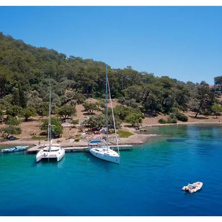 Only Blue Rhapsody 4*