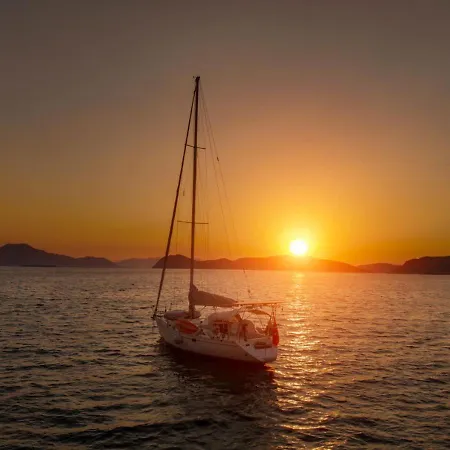 Only Blue Rhapsody 4*