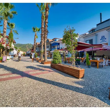 Only Blue Rhapsody 4*